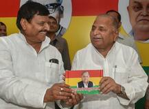 हमारी पार्टी मुलायम सिंह को प्रधानमंत्री पद के चेहरे के तौर पर पेश करेगी: शिवपाल 