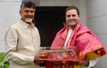 2019 के चुनाव के लिए कांग्रेस की बढ़ी ताकत, चंद्रबाबू नायडू के साथ हुआ गठबंधन