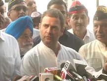 चंद्रबाबू नायडू से मिलने के बाद बोले राहुल गांधी, BJP को मात देने के लिए मिलकर काम करेंगे