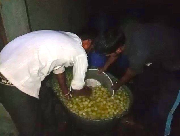 दिल्ली से सटे फरीदाबाद में चल रहा था 'जानलेवा' रसगुल्लों का गोरखधंधा, कई टन हुए जब्त Health department seized several tons of detrimental rasgulas by raiding Faridabad दिल्ली से सटे फरीदाबाद में चल रहा था 'जानलेवा' रसगुल्लों का गोरखधंधा, कई टन हुए जब्त