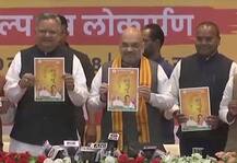 छत्तीसगढ़: अमित शाह ने जारी किया BJP का संकल्प पत्र, बोले- कांग्रेस को नक्सलवाद में क्रांति दिखती है