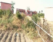 मध्य प्रदेश: सतना में दबंगों ने स्कूल के रास्ते को बना दिया खेत, प्रशासन के सामने वोटिंग कराने की चुनौती