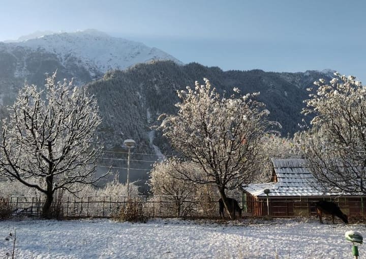 हिमाचल प्रदेश में बुधवार रात को भारी बर्फबारी हुई है. बर्फ गिरने से वहां पारा बिल्कुल नीचे गिर गया है और बर्फ की सफेद चादर से सबकुछ ढक गया है. तस्वीरों में देखिए बर्फबारी के बाद का नजारा.