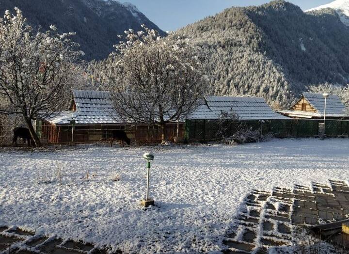 प्रदेश में मौसम विभाग ने बर्फबारी के साथ बारिश होने का अनुमान आगे भी लगाया है. बर्फबारी होने से विदेशी और देशी पर्यटकों को काफी आनंद आता है. पर्यटक इस उम्मीद में रहते हैं कि कब बर्फबारी हो. 