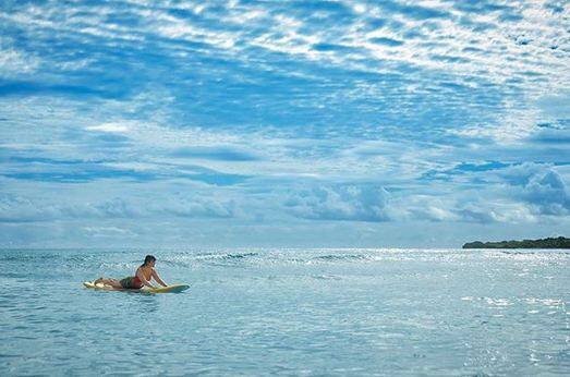 इलियाना ने तस्वीरें पोस्ट करते हुए कहा कि शार्क से मिलने की ये सही जगह है. यहां आप डाइविंग का अलग ही एक्सपीरिएंस करते हैं. फोटोः इंस्टाग्राम