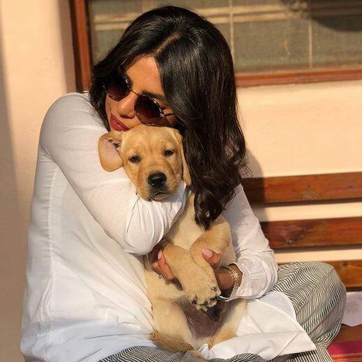 इससे पहले प्रियंका और फरहान अख्तर की कुछ तस्वीरें सोशल मीडिया पर वायरल हुई थीं जिसमें प्रियंका और फरहान दिल्ली के प्रदूषण से खुद को बचाने के लिए मास्क पहने हुए थे. फोटोः इंस्टाग्राम