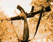 ऑपरेशन प्रहार: छत्तीसगढ़ में सुरक्षाबलों ने नौ नक्सलियों को किया ढेर, दो पुलिसकर्मी शहीद