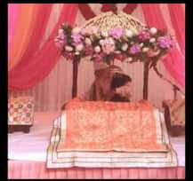 अखण्ड पाठ से शुरू हुई कपिल-गिन्नी की प्री-वेडिंग सेरेमनी