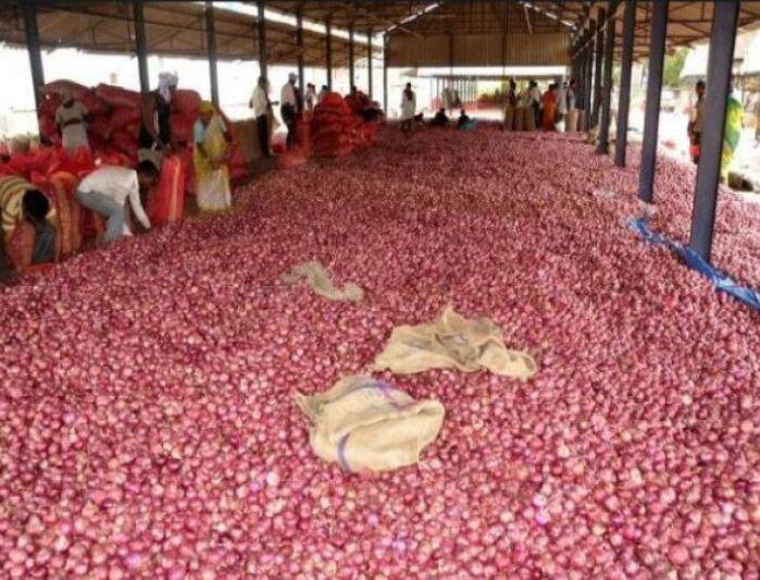 maharashtra nashik pmo seeks report on farmer sanjay sathe 750 किलो प्याज बेचने से मिले 1064 रुपये, नाराज किसान ने पीएम को भेज दिया पैसा, अब PMO ने मांगी रिपोर्ट