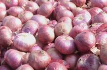 किसान ने 26.5 क्विंटल प्याज बेचा, कमाई सिर्फ 6 रुपए हुई तो सारे पैसे महाराष्ट्र सीएम फड़णवीस को भेज दिए