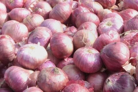 750 KG प्याज बेचकर किसान ने प्रधानमंत्री कार्यालय को भेजे थे 1,064 रुपए, PMO ने लौटाए 750 KG प्याज बेचकर किसान ने प्रधानमंत्री कार्यालय को भेजे थे 1,064 रुपए, PMO ने लौटाए