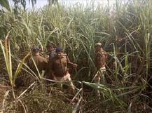 दरिंदगी: यूपी के बरेली में नौ साल की बच्ची को रेप के बाद किया कत्ल