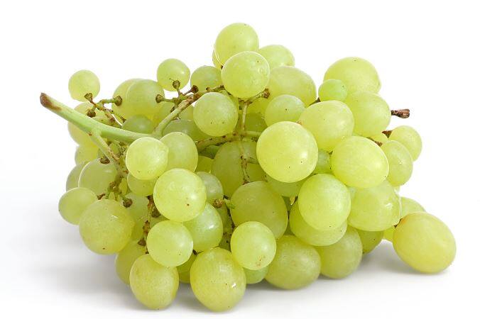 इसके साथ ही अंगूर में भी विटामिन की अच्छी खासी मात्रा होती है जो वजन घटाने में कारगर साबित हो सकती है. अपने खाने में आप नियमित रूप से अंगूर को शामिल करें और कुछ ही हफ्तों में आप फर्क पाएंगे. तस्वीर: गूगल फ्री इमेज