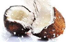 New Year 2021: साल के पहले दिन खरीदकर लाएं ये शुभ और मंगल प्रतीक चिन्ह, साल भर घर में बनी रहेगी समृद्धि