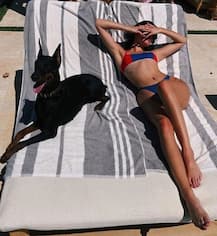 2018 की ये हैं परफेक्ट बिकिनी मॉडल्स, देखें तस्वीरें