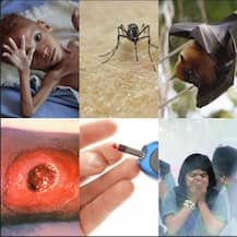 Year Ender 2018: निपहा से लेकर ज़िका तक, पूरे साल इन बीमारियों से परेशान रहे दुनियाभर के लोग