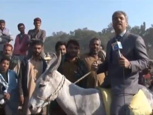 Donkey business flourishing in Pakistan's Lahore Viral Video: आखिर अब गदहों को लेकर क्यों सुर्खियां बटोर रहा है इमरान ख़ान का पाकिस्तान