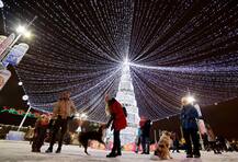 दुनिया के कोने-कोने से आई क्रिसमस-ट्री की खूबसूरत तस्वीरें, देख आप भी हो जाएंगे खुश