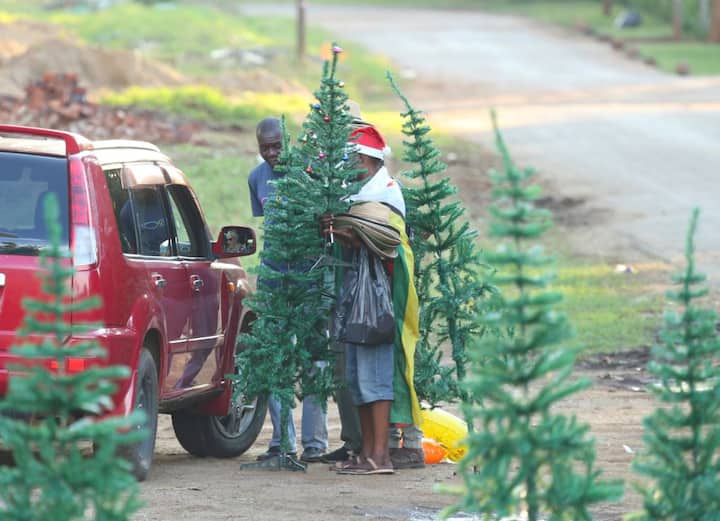 क्रिसमस-डे से पहले लोग अपने-अपने घरों में स्टार्स, केक, पेस्ट्री और कई तरह के पकवान बनाने की शुरुआत करते हैं. इस खास अवसर पर जीसस क्राइस्ट के जन्म पर खुद सांता बच्चों को कुछ न कुछ गिफ्ट देता है. त्योहार पर हर उम्र के लोग उल्लास से भरपूर रहते हैं. तो ऐसे में आपको दुनिया के कोने-कोने में चल रही क्रिसमस ट्री की तैयारियों को दिखाने जा रहे हैं. तस्वीर: एपी