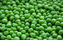 सर्दियों में मटर खाने से हृदय रोग और फैट कम करने में मिलती है मदद, तस्वीरों के जरिए जानें