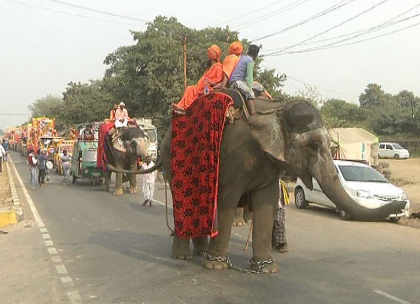 Kumbh Mela 2019: हाथी-घोड़ों को लेकर मचा कोहराम, संतों में नाराजगी - बैकफुट पर प्रशासन