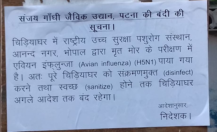 बिहार: पटना चिड़ियाघर अनिश्चितकाल के लिए बंद, H5N1 वायरस से हाल में हुई थी 6 मोर की मौत