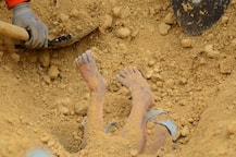 फिलीपींस में चक्रवाती तूफान उस्मान के कारण 85 की मौत