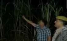 यूपीः मुंह से ठांय-ठांय की आवाज़ निकालकर बदमाशों को डराने वाले दरोगा को लगी गोली