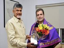 राहुल गांधी से मिले चंद्रबाबू नायडू, विपक्षी एकता की रणनीति पर चर्चा की
