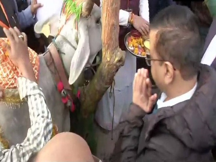 Delhi: Arvind Kejriwal visited Gaushala in Bawana earlier today दिल्ली: केजरीवाल ने किया गोशाला का दौरा, बोले- गाय के नाम पर वोट मांगने वाले चारा भी दें
