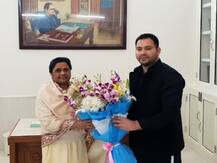 लोकसभा चुनाव: मायावती से मिले तेजस्वी यादव, बोले- पिता लालू यादव का सपना अब पूरा हुआ