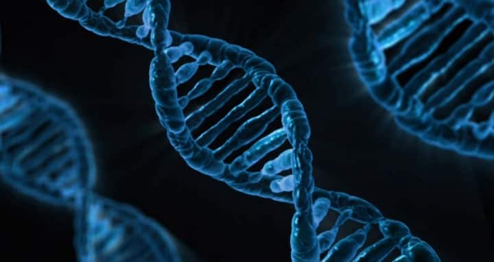 जी हां, वैज्ञानिकों ने एक ऐसे जीन की खोज की है जिसे 'रिस्क टेकिंग जीन' का नाम दिया है. इस जीन के 124 प्रकार हैं जो कि लोगों को लाइफ में अलग-अलग तरह के रिस्क लेने के लिए उत्साहित करता है.फोटोः गूगल फ्री इमेज