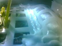 अंतरिक्ष की दुनिया में चीन ने रचा इतिहास, चांद पर उगाया पहला पौधा