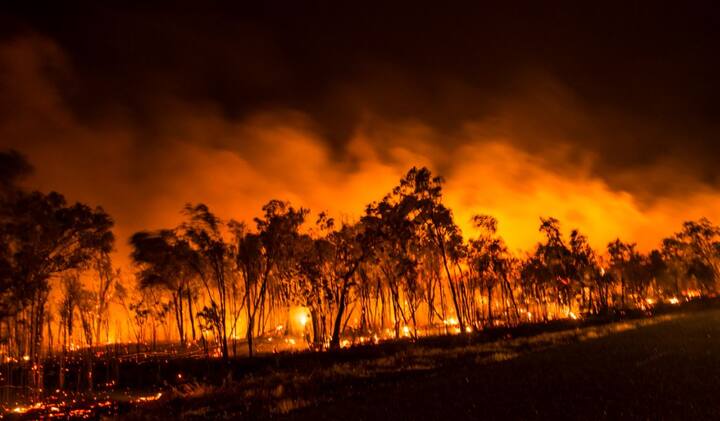 दक्षिण ऑस्ट्रेलिया राज्य के पोर्ट ऑगस्टा शहर में मंगलवार को सबसे अधिक तापमान दर्ज किया गया, जहां पारा 48.9 डिग्री सेल्सियस पहुंच गया और राज्य के छोटे से शहर टार्कूला में पारा 49 डिग्री सेल्सियस तक पहुंच गया. सभी तस्वीरें इस स्टोरी से संबंधित प्रकीकात्म तस्वीरें हैं.