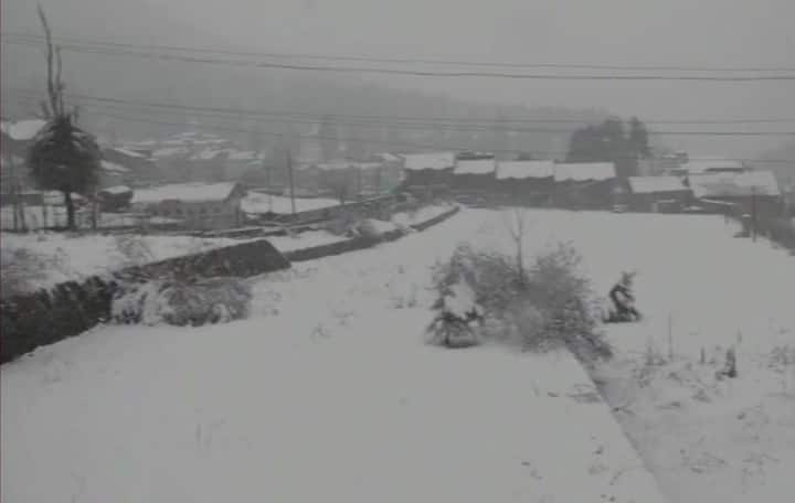 जम्मू कश्मीर में ताजा बर्फबारी हुई है. बर्फबारी का सैलानी जमकर लुत्फ उठा रहे हैं. मौसम विभाग ने कश्मीर और हिमाचल में आज शाम के बाद से और बर्फबारी होने का अनुमान लगाया है. 