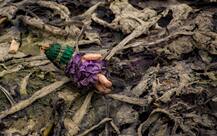 हरियाणाः पलवल में चार लोगों ने किया नाबालिग के साथ गैंगरेप, केस दर्ज