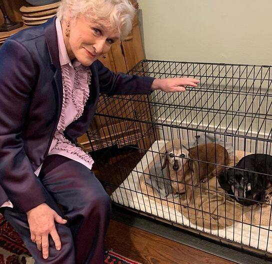 आपको बता दें, ग्लेन सोशल मीडिया पर बहुत एक्टिव हैं और अपनी खूब तस्वीरें इंस्टाग्राम पर शेयर करती हैं. इन्हें 40 हजार से अधिक लोग फॉलो करते हैं. 