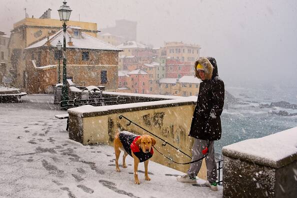 इटली में अपने पालतू कुत्ते को घुमाती महिला. 