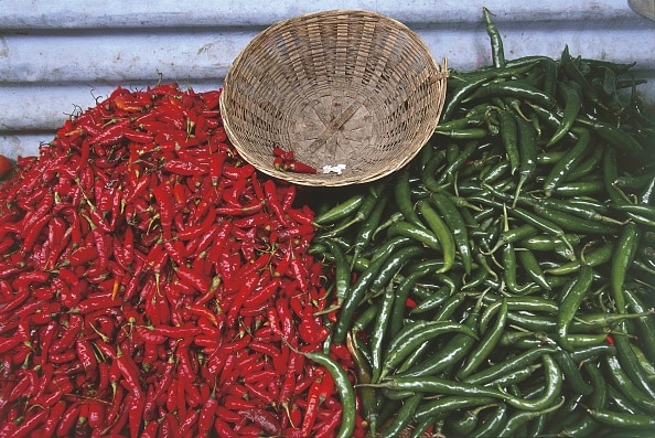 Mirchi price increased in Nandurbar market committee price of red chillies above 16000 नंदुरबार बाजार समितीत पुन्हा मिरचीचा 'तडका', लाल मिरचीचा दर 16 हजारांवर