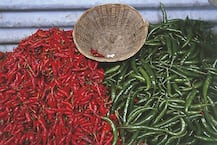 नंदुरबार बाजार समितीत पुन्हा मिरचीचा 'तडका', लाल मिरचीचा दर 16 हजारांवर