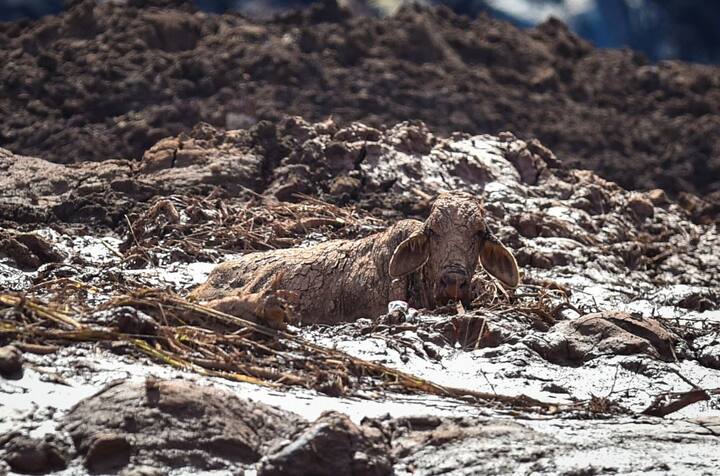 इसके लिये जमीनी और हवाई सेवाएं ली जा रही हैं. जमीन पर काम कर रहे बचावकर्मियों को कीचड़ जमा होने से परेशानी हो रही है जिसके लिये दर्जनों हेलीकॉप्टर तैनात किये गये हैं.