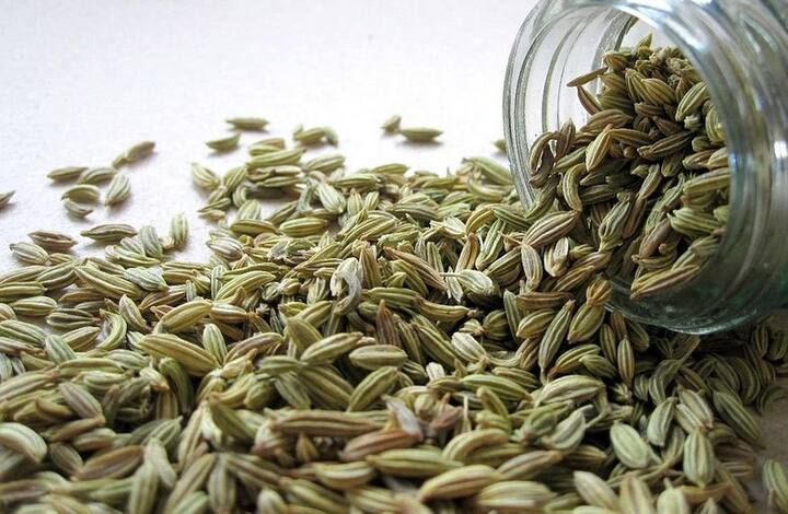 सौंफ खाने से हैप्पी हार्मोन एंडोर्फिन रिलीज होता है. दूध के साथ इसे लेने से आपको रिलैक्स होने में मदद मिलती है.  फोटोः गूगल फ्री इमेज 