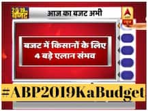 Budget 2019: इनकम टैक्स में छूट सहित ये बड़े ऐलान कर सकती है सरकार