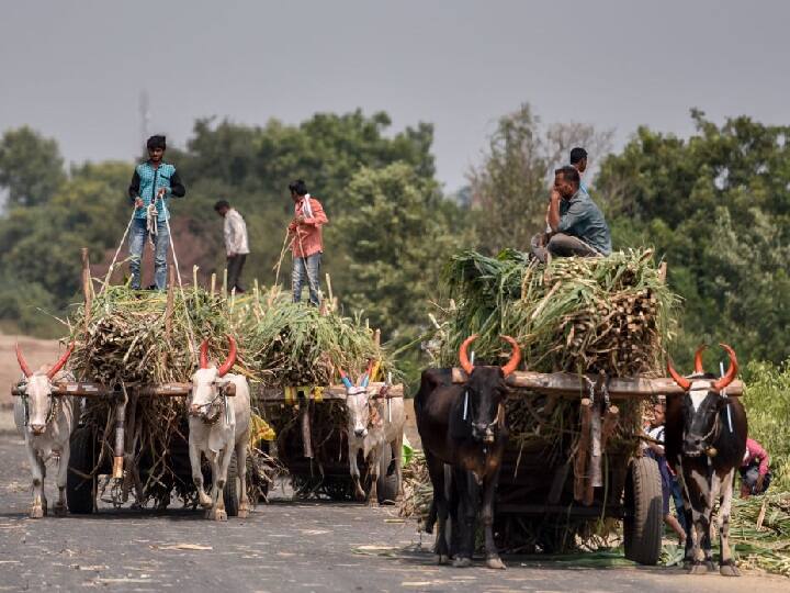 Budget 2019: किसानों को बड़ा तोहफा, हर साल 6 हजार रुपये सीधे खाते में ट्रांसफर करेगी सरकार Budget 2019: Piyush Goyal Relief For Farmers Pradhan Mantri Kisan Samman Nidhi scheme approved Budget 2019: किसानों को बड़ा तोहफा, हर साल 6 हजार रुपये सीधे खाते में ट्रांसफर करेगी सरकार