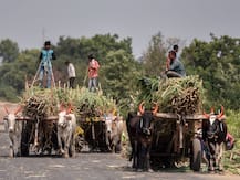 Budget 2019: किसानों को बड़ा तोहफा, हर साल 6 हजार रुपये सीधे खाते में ट्रांसफर करेगी सरकार