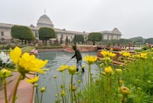 राष्ट्रपति भवन की ये शानदार तस्वीरें देखेंगे तो देखते रह जाएंगे, आप भी कर सकते हैं एंट्री