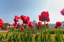 राष्ट्रपति भवन की ये शानदार तस्वीरें देखेंगे तो देखते रह जाएंगे, आप भी कर सकते हैं एंट्री