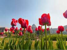 राष्ट्रपति भवन की ये शानदार तस्वीरें देखेंगे तो देखते रह जाएंगे, आप भी कर सकते हैं एंट्री