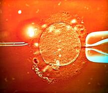 जल्दी पापा बनना है तो ये एक काम जरूर करें, तुरंत होगा फायदा
