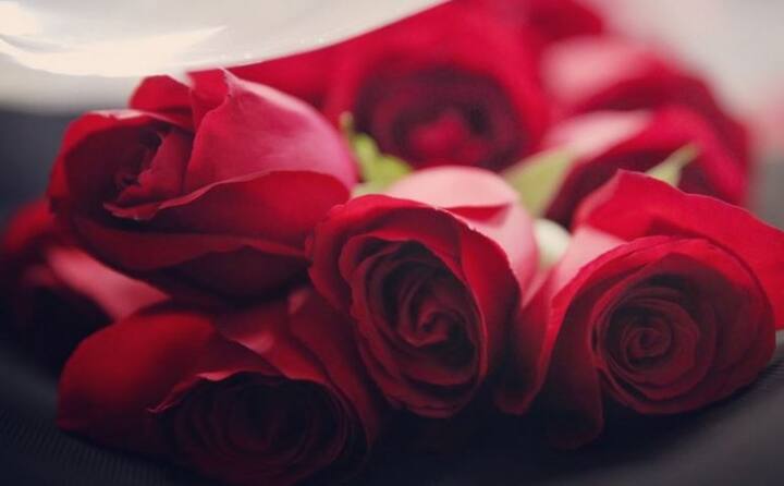 Happy Rose Day: दुनियाभर में आज सभी रोज़ डे मना रहे हैं. वैलेंटाइंस वीक की शुरूआत रोज़ डे से होती है. आमतौर पर लोग प्रपोज करने के लिए रेड रोज़ देते हैं. लेकिन क्या आप जानते हैं आप पार्टनर को मनाने और ब्रेकअप करने के दौरान भी आज रोज़ डे मना सकते हैं. रोज सिर्फ लाल ही नहीं होता बल्कि कई रंगों का होता है. चलिए जानते हैं आपको आज कौन-कौन से रोज़ किस पर्पस से पार्टनर को दे सकते हैं. सभी फोटोः गूगल फ्री इमेज